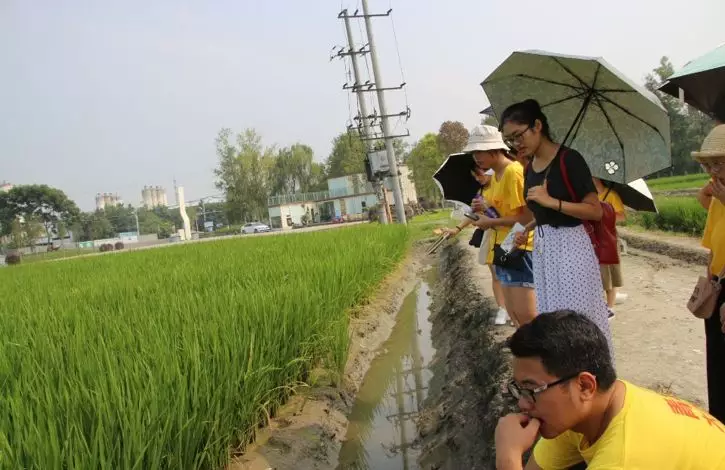 郫筒gdp_主城区扩容犀浦大热,理想青年城市安家正当时(3)